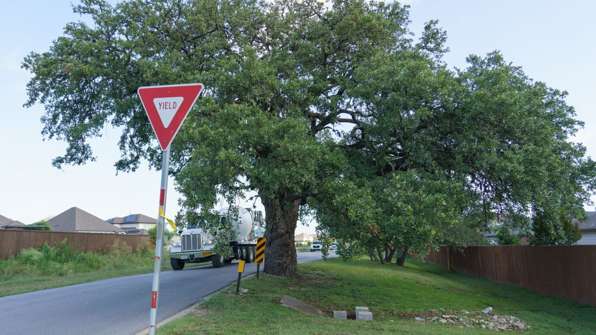 A yield sign stands by a narrow road curving around a large, leafy tree. A white truck is partially visible behind the tree, and houses with sloped roofs line the background.