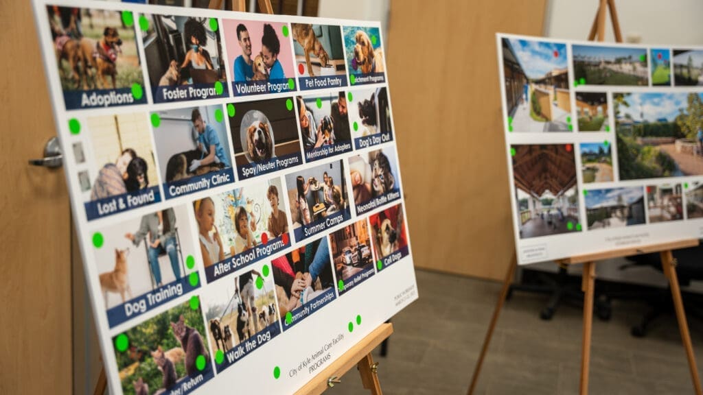 Photo of the Animal Care Center Public Input meeting in March 2025. Two display boards on easels show photos and text about various community programs, including pet adoption, foster care, and training, with green stickers marking several sections. The scene appears to be indoors. 