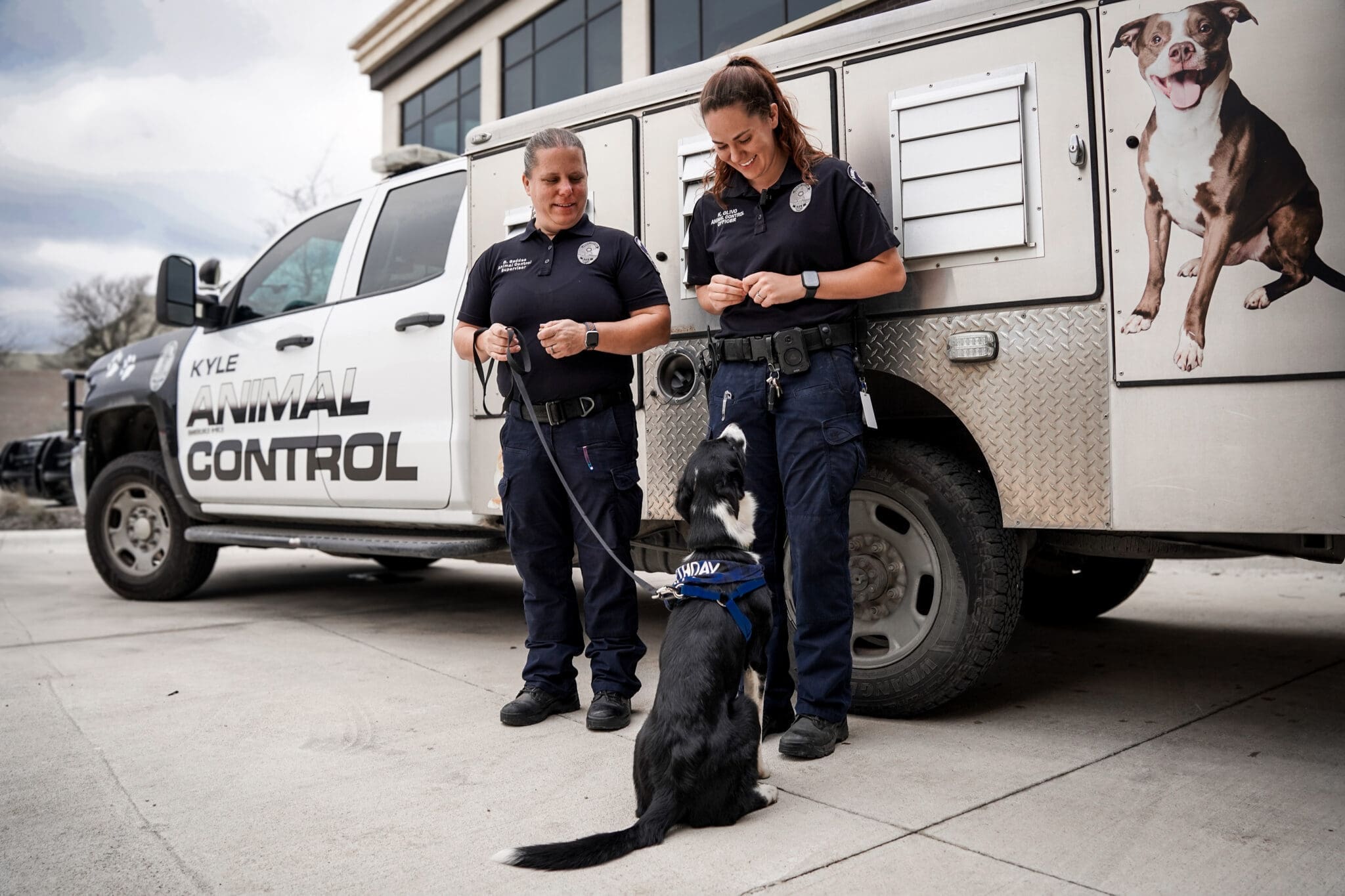 Two animal control officers stand beside a truck labeled "Kyle Animal Control," smiling at a black and white dog wearing a vest, who sits and looks up at them. The truck has a large dog image painted on its side.