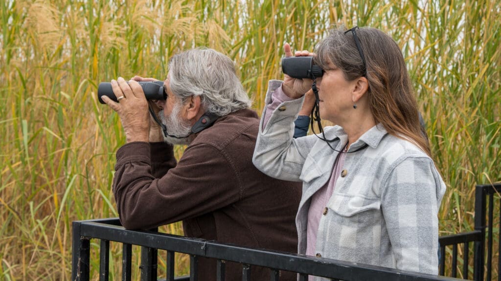 Bird Walk Lake Kyle Park (Jan 5, 2026)