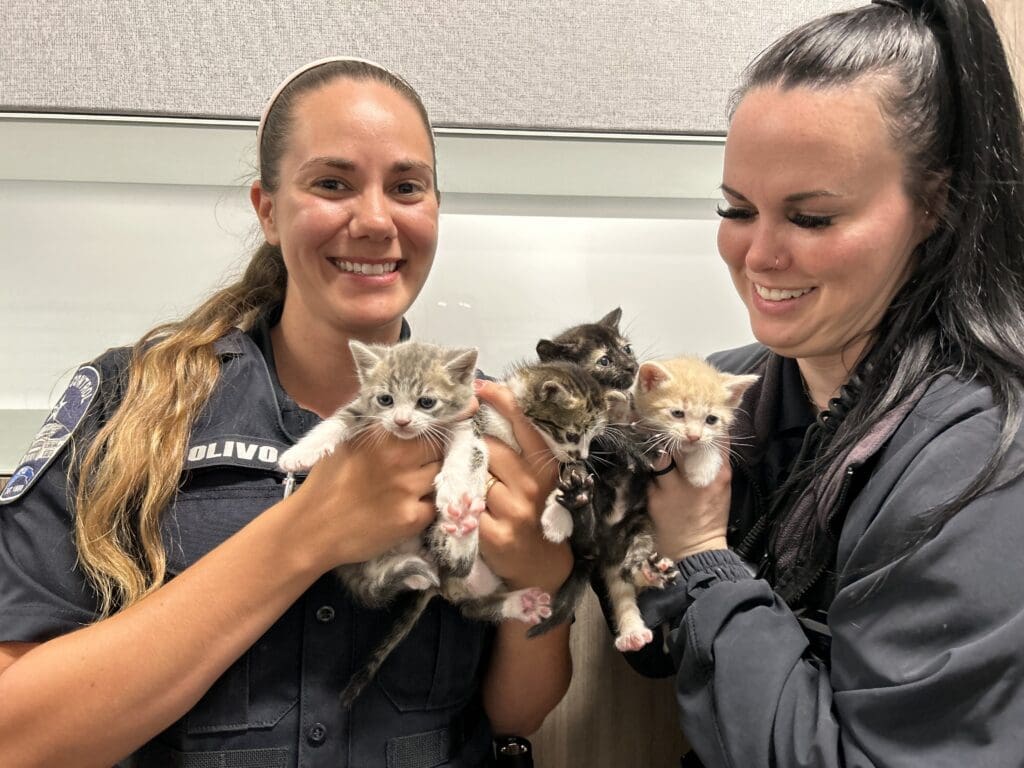 Two women smiling and holding several small kittens in their arms; one woman is in a police uniform and the other in black clothing. The kittens are various colors and appear alert.