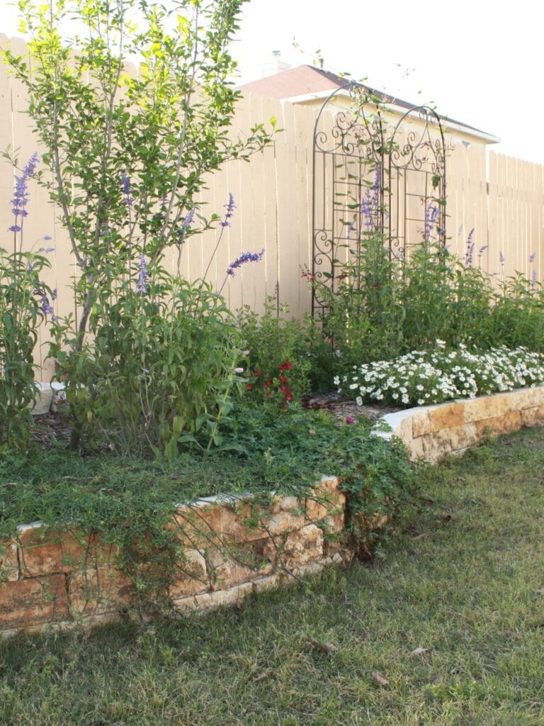 A stone-edged garden bed with green plants, purple flowers, and white daisies sits in front of a tan wooden fence and metal trellis in a sunny backyard.