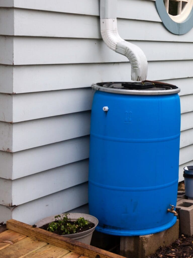 A blue rain barrel connected to a white downspout sits beside a gray-sided house. The barrel is on cinder blocks and is surrounded by a potted plant and a small bucket.