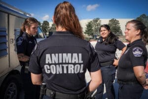 Four Kyle Police Department animal control officers in uniform stand outdoors near a white vehicle, talking together on a sunny day with trees and a building in the background. One officer’s shirt reads "ANIMAL CONTROL" on the back.