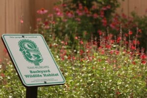 A green and white sign reads "This property is certified: Texas Wildscapes Backyard Wildlife Habitat," standing in front of blooming red and pink flowers in a garden.