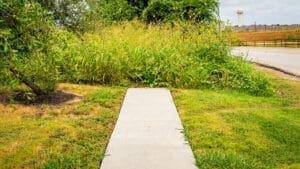 A concrete sidewalk ends abruptly at tall, overgrown grass and wildflowers, blocking the path. A road and a water tower are visible in the background.